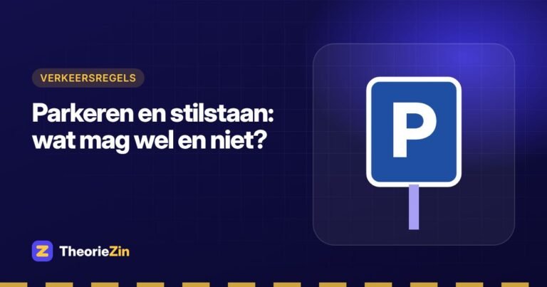 Illustratie bij "Parkeren en stilstaan: wat mag wel en niet?": een blauw parkeerbord